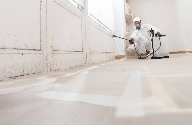 24/7 Emergency Mold Remediation experts in North Carolina, NC